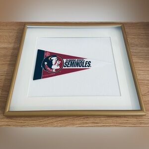 College/University Pennant Flags Framed 11x13
